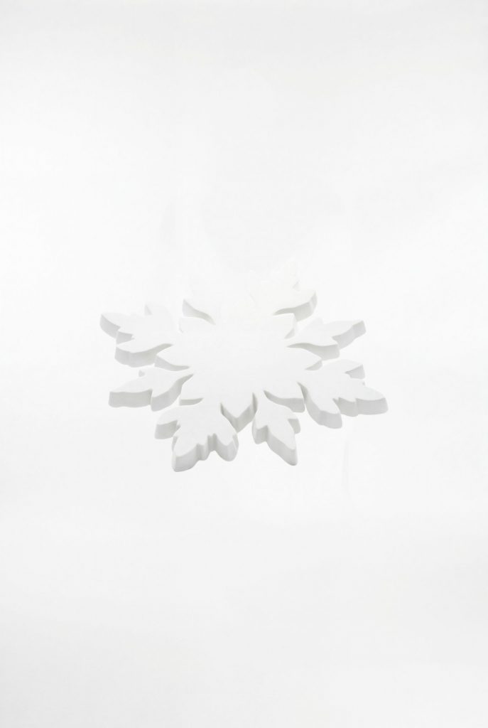 Vorderansicht des SNØVIT 3D Logo auf der Brust.