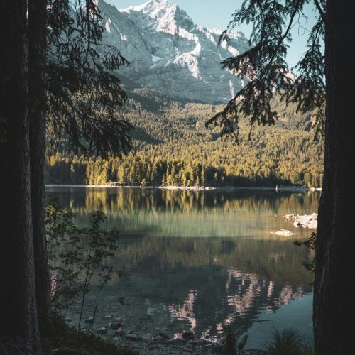 pexels-op23-12568080
